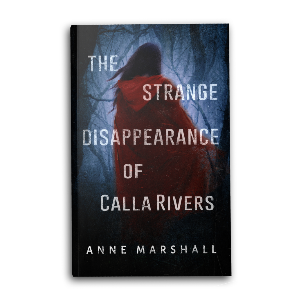 The Strange Disappearance of Calla Rivers: A Mystery Novel