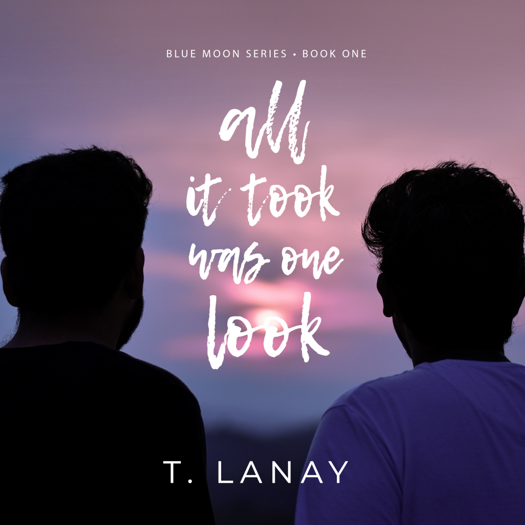 All It Took Was One Look T. Lanay