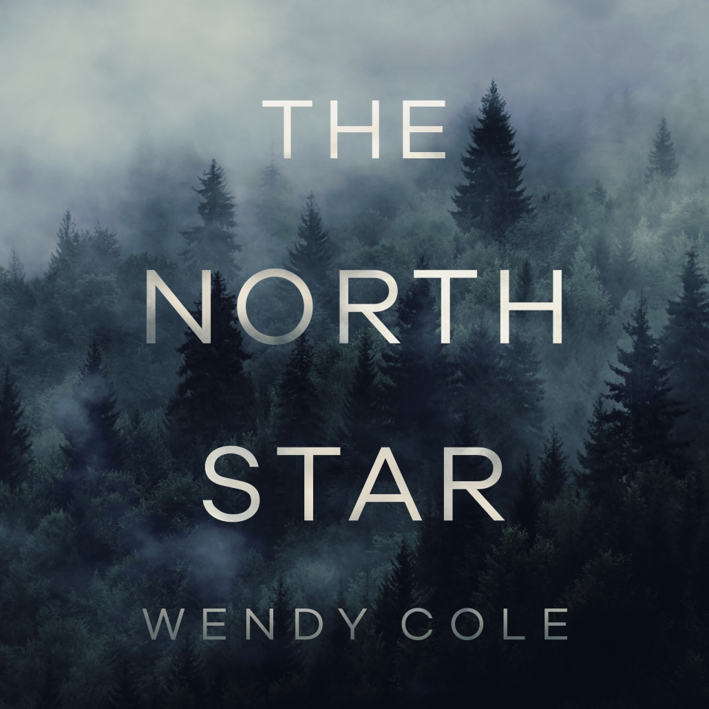 The North Star By Wendy Cole