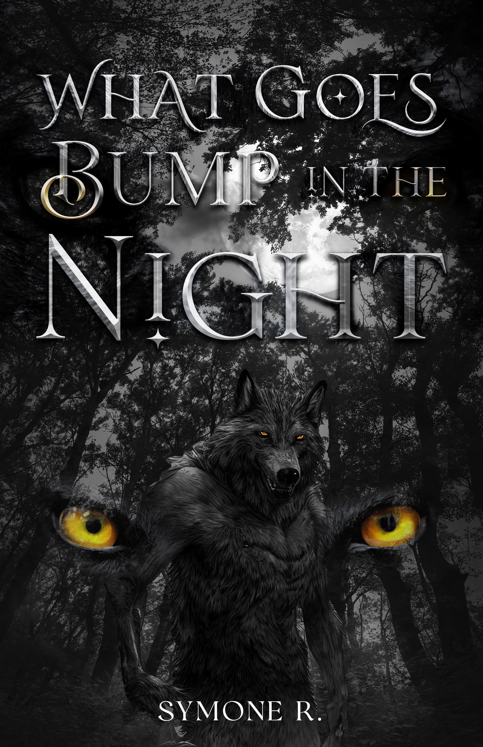 What Goes Bump In The Night by Symone R Cover 1