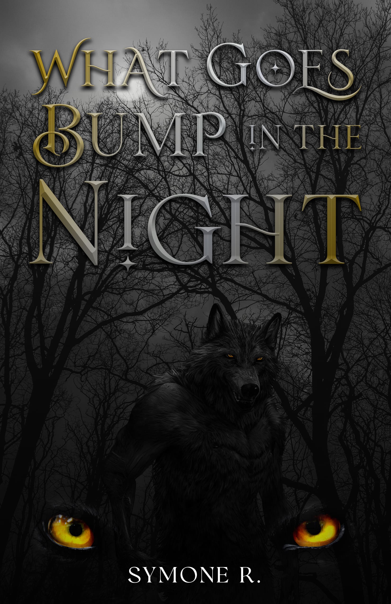 What Goes Bump In The Night by Symone R Cover 2