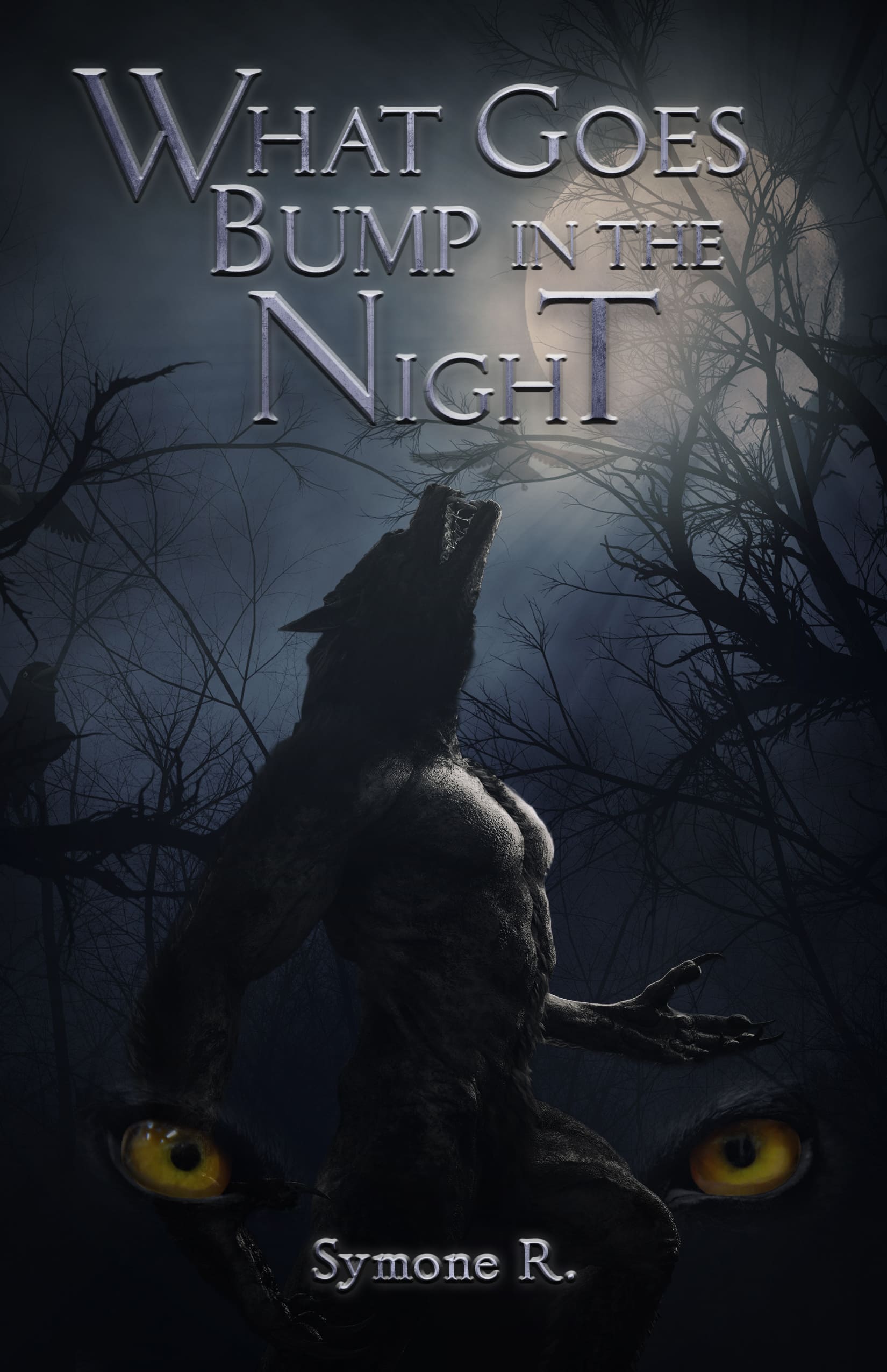 What Goes Bump In The Night by Symone R Cover 5