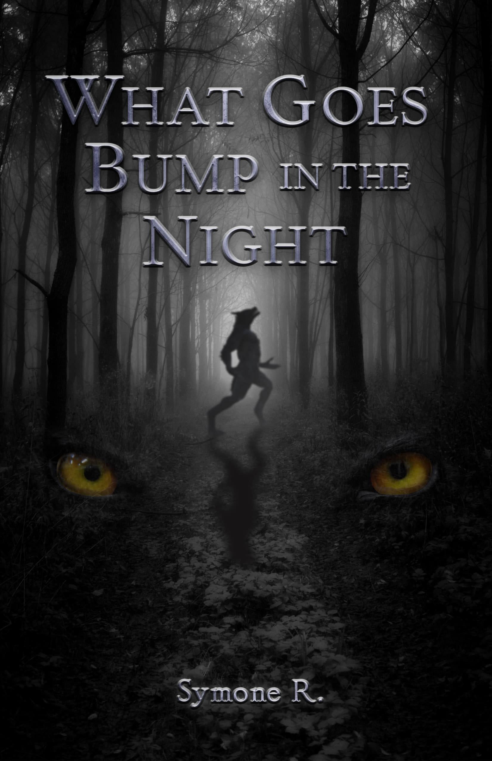 What Goes Bump In The Night by Symone R Cover 6